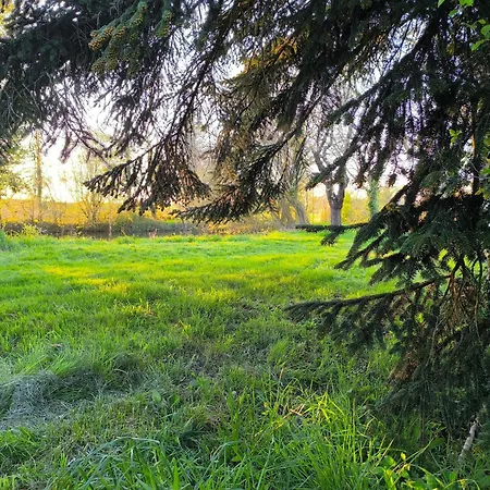 Maison Au Calme Avec Jardin & Etang 25 Min Du Puy Du F *