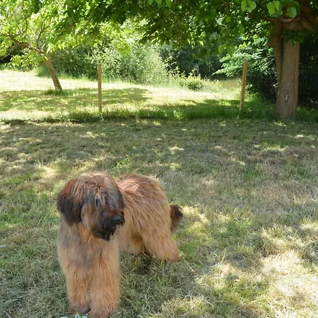 Maison Au Calme Avec Jardin & Etang 25 Min Du Puy Du F