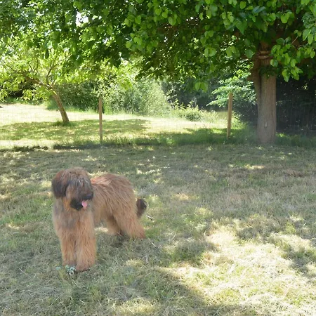 Ferienhaus Maison Au Calme Avec Jardin & Etang 25 Min Du Puy Du F Le May-sur-Evre
