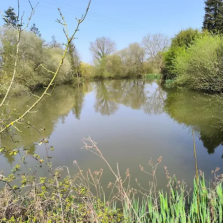 Maison Au Calme Avec Jardin & Etang 25 Min Du Puy Du F Le May-sur-Evre