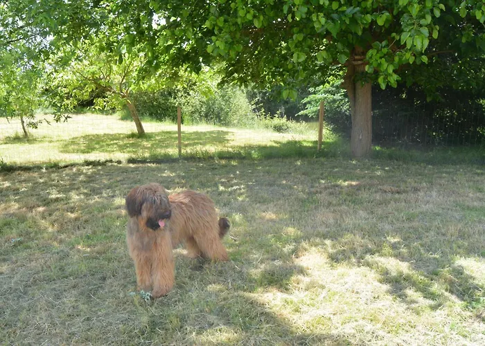 Σπίτι διακοπών Maison Au Calme Avec Jardin & Etang 25 Min Du Puy Du F Le May-sur-Evre