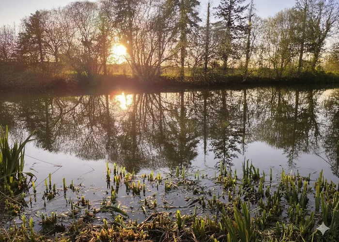 Maison Au Calme Avec Jardin & Etang 25 Min Du Puy Du F Le May-sur-Evre